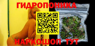 a pvp Камышлов