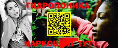 a pvp Камышлов