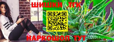 a pvp Камышлов