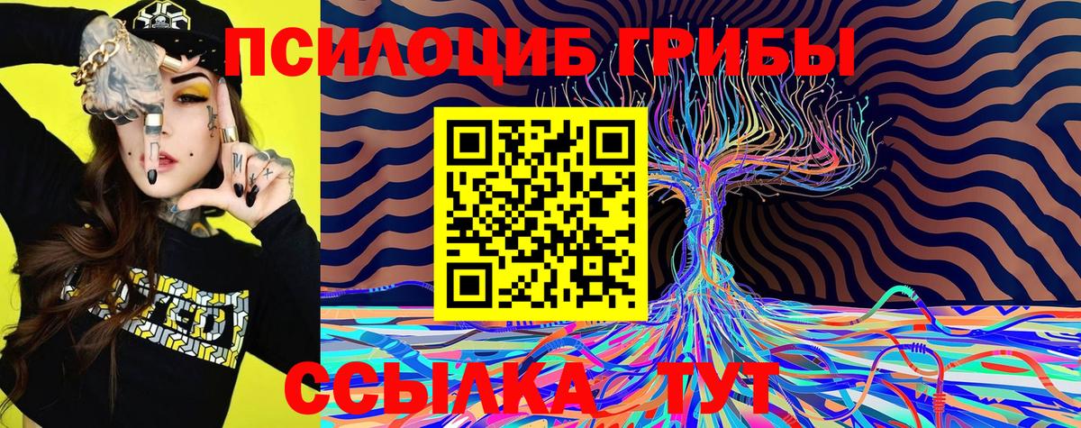 Галлюциногенные грибы Magic Shrooms  Вход с VPN  Лесной 
