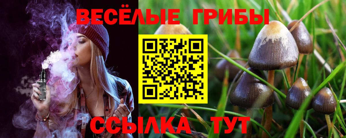 Псилоцибиновые грибы ЛСД Лесной